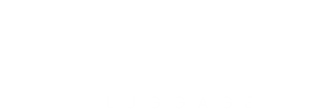 Valise Luggage